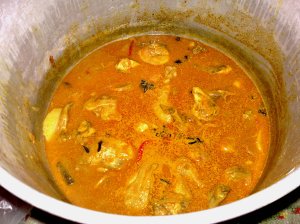 the end product (chicken curry)